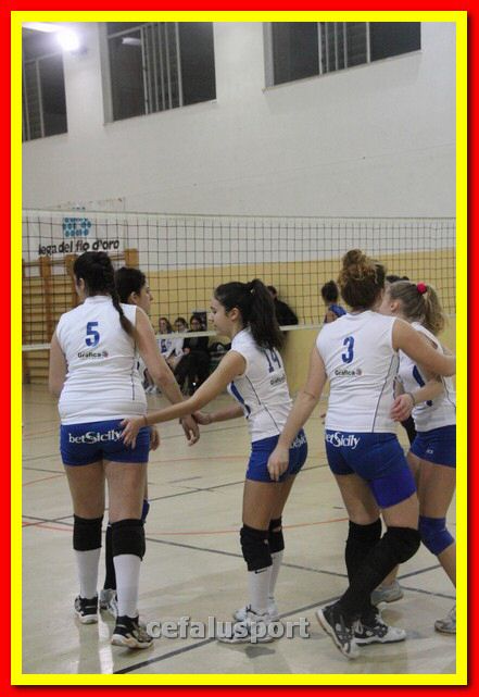 140305 Primula 160_tn.jpg